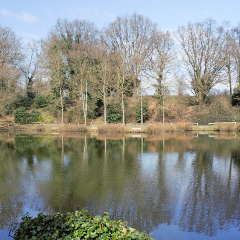 Braybrooke Community Nature and Fishing Club